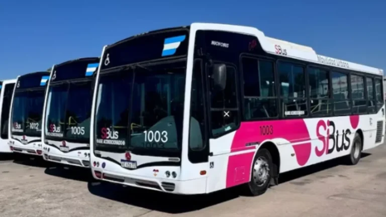 Nuevo transporte urbano se incorpora en Córdoba: