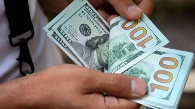 Dólar: a cuánto cerró este martes 30 de diciembre